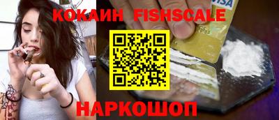 дмт Славгород