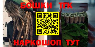 дмт Славгород