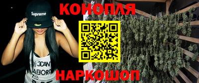 дмт Славгород