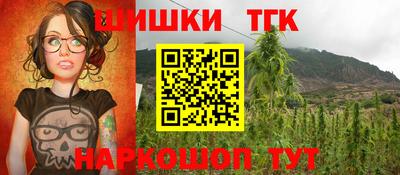 дмт Славгород