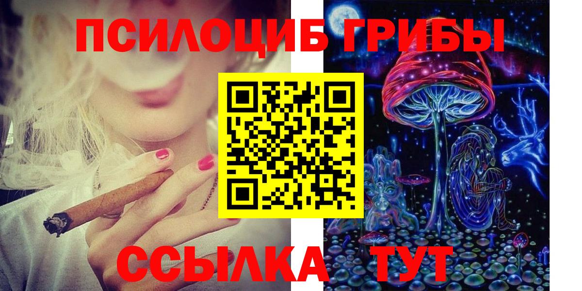 Ржев  Галлюциногенные грибы Cubensis  Вход с VPN 
